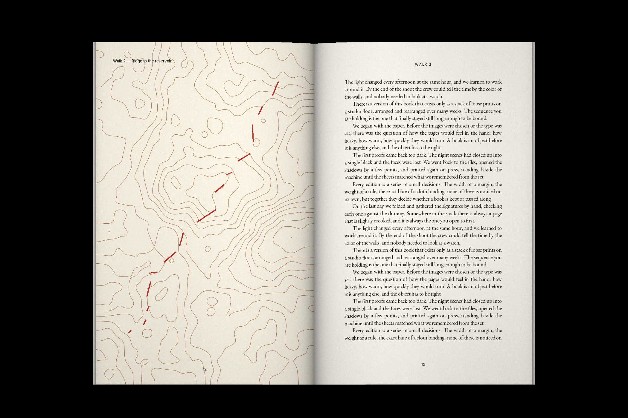 Field Notes for Walking, No. 3 — image 2 of 3